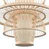 Подвесная люстра ST-Luce SL6241.513.01