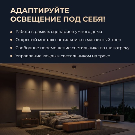 Трековый светильник Yeelight Pro E20 магнитный, гриль, поворотный, малый, 6 спотов в контуре, черный YP-0200