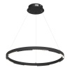 Подвесной светильник ST-Luce SL6238.433.01