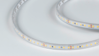 DesignLed Светодиодная лента DSG 2835 WW 120L-V24-IP65, 2700K, 120 LED, 9,6 W/m, LUX