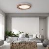 Накладной светильник ImperiumLoft 219475-26
