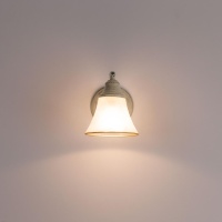 Спот Citilux CL511514