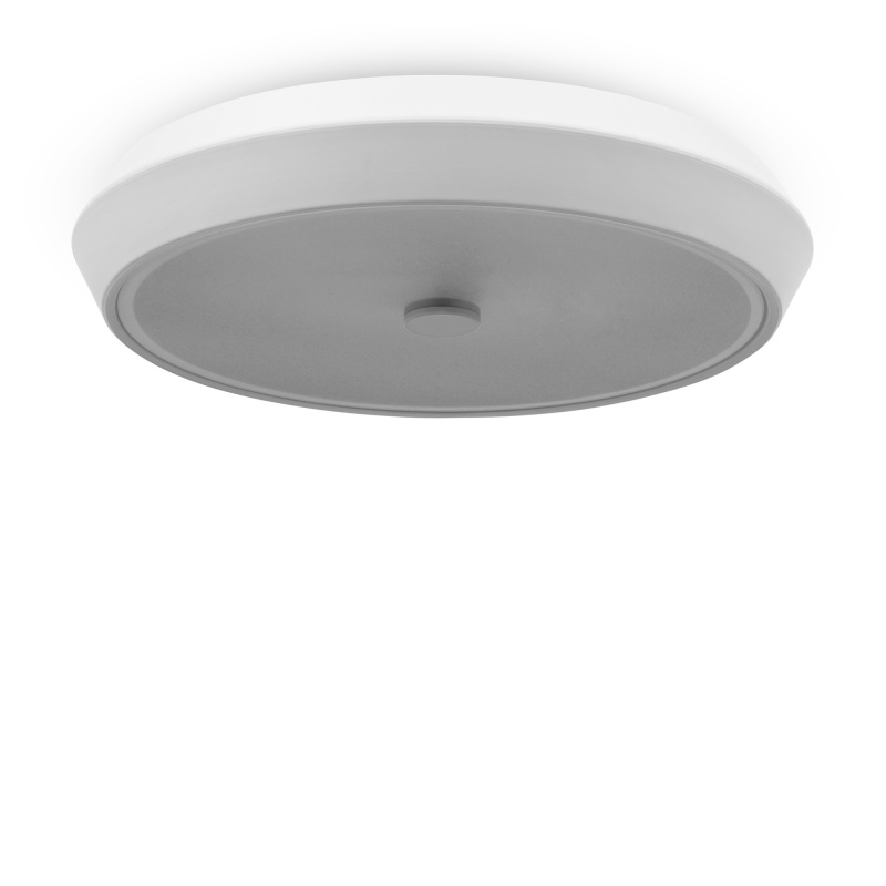 Потолочный светильник Freya FR10012CL-L24W