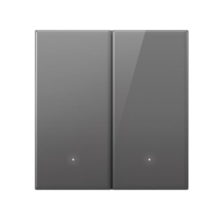 Выключатель Yeelight Pro, серия S21, проводной, 2 клавиши, серый (N L)