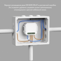 Wi-Fi реле Denkirs RL1004-DM/1