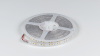 DesignLed Светодиодная лента 12V холодное белое свечение, DSG3120-12-W-65