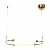 Подвесная люстра ST-Luce SL6004.313.02