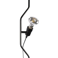 Потолочный детский светильник LOFT IT 10346/2 Black