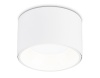 Накладной светильник Ambrella Light TN52892