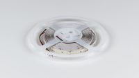 DesignLed Светодиодная лента 17Вт теплое свечение, DSG2168-24-WW-33