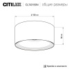 Накладной светильник Citilux CL743150N