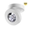 Спот Novotech 359409