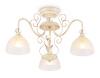 Накладной светильник Ambrella Light TR3055