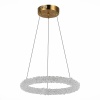 Подвесная люстра ST-Luce SL6110.203.01