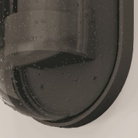 Настенный светильник (бра) Outdoor O449WL-01GF