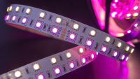 SWG Standard Светодиодная лента 5050, 120 LED/м, 28,8 Вт/м, 24В , IP20, Цвет: RGB + теплый белый, SWG5120-24-28.8-RGBWW-M