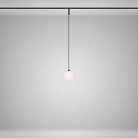 Трековый подвесной светильник Technical TR178-1-5WTW-B