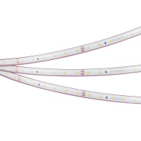 Лента Arlight 024565(2)