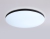 Накладной светильник Ambrella Light FZ2004
