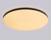 Накладной светильник Ambrella Light FZ2006