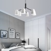 Подвесная люстра ImperiumLoft 102056-26