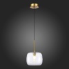 Подвесной светильник ST-Luce SL1049.303.01