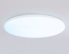 Накладной светильник Ambrella Light FZ2003