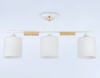Накладной светильник Ambrella Light TR9546