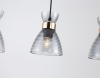 Подвесной светильник Ambrella Light TR3407