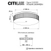 Накладная люстра Citilux CL32410G1
