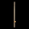 Бра LOFT IT 10054GD