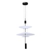 Подвесной светильник ST-Luce SL6101.413.01