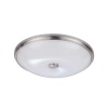 Накладной светильник Odeon Light 4957/5