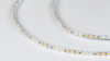 SWG Standard Светодиодная лента 3528, 120 LED/м, 9,6 Вт/м, 24В , IP20, Цвет: Теплый белый, SWG3120-24-9.6-WW-M