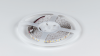 DesignLed Светодиодная лента IP33 мощность 9.6Вт, DSG3120-24-NW-33