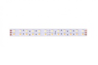 Лента DesignLed DSG5120-24-W+WW-33