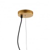 Подвесная люстра Favourite 2368-3P