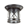 4045/1C NATURE ODL18 701 черный/зол.патина Уличный потолочный светильник IP44 E27 60W 220V SATION