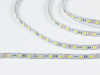 SWG Standard Светодиодная лента 5050, 60 LED/м, 14,4 Вт/м, 12В , IP20, Цвет: Холодный белый, SWG560-12-14.4-W-M