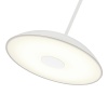 Подвесной светильник ST-Luce SL6128.503.01
