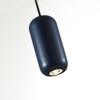 Подвесной светильник Odeon Light 5060/1C