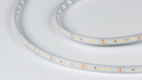 DesignLed Светодиодная лента DesignLed DSG2120 14.4 Вт 2700K, DSG2120-24-WW-65