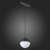 Светильник на шине ST-Luce ST358.443.07