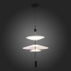 Подвесной светильник ST-Luce SL6101.413.01