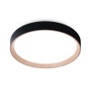 Накладной светильник Ambrella Light FZ1324