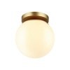 Накладной светильник Odeon Light 4247/1C