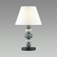 Настольная лампа Odeon Light 4896/1T