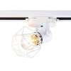 Ambrella Light GL5001