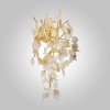 Бра AM Group FOREST AP3 GOLD