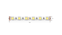 SWG Standard Светодиодная лента 5050, 60 LED/м, 14,4 Вт/м, 24В , IP20, Цвет: Теплый белый + холодный белый, SWG560-24-14.4-WWW-M